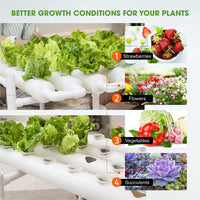36 Sites Hydroponic Grow Tool Kits Vegetable Garden System 220V Water Pump Home & Garden Kings Warehouse 