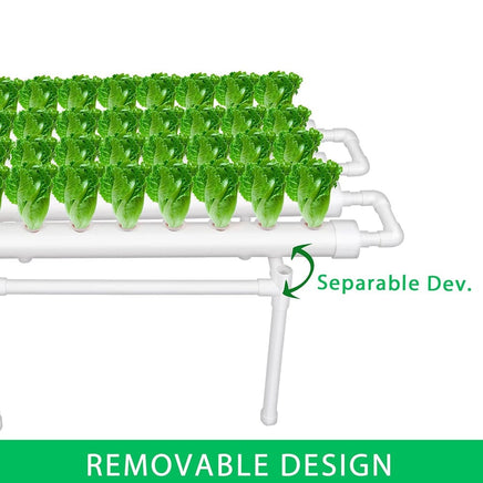 36 Sites Hydroponic Grow Tool Kits Vegetable Garden System 220V Water Pump Home & Garden Kings Warehouse 