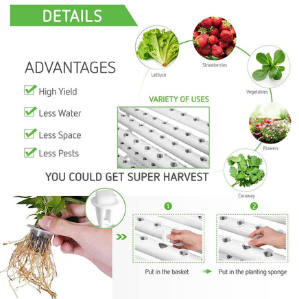 36 Sites Hydroponic Grow Tool Kits Vegetable Garden System 220V Water Pump Kings Warehouse 