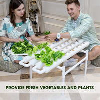 36 Sites Hydroponic Grow Tool Kits Vegetable Garden System 220V Water Pump Kings Warehouse 