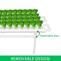 36 Sites Hydroponic Grow Tool Kits Vegetable Garden System 220V Water Pump Kings Warehouse 