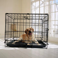 42" Pet Dog Cage Kennel Metal Crate Enlarged Thickened Reinforced Pet Dog House Kings Warehouse 