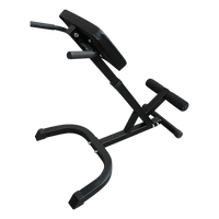 45-Degree Hyperextension Bench Sports & Fitness Kings Warehouse 