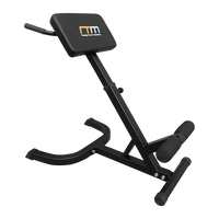 45-Degree Hyperextension Bench Sports & Fitness Kings Warehouse 