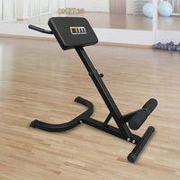 45-Degree Hyperextension Bench Sports & Fitness Kings Warehouse 