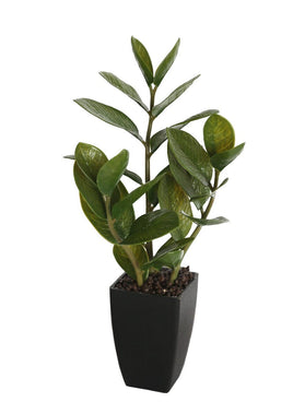 46cm Potted Zanzibar Appliances Kings Warehouse 