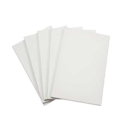 5 pack of 20x30cm Artist Blank Stretched Canvas Canvases Art Large White Range Oil Acrylic Wood Baby & Kids Kings Warehouse 
