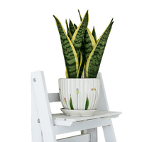 5 Tier Wooden Ladder Shelf Stand Storage Book Shelves Shelving Display Rack Furniture Kings Warehouse 
