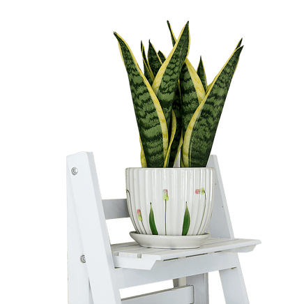 5 Tier Wooden Ladder Shelf Stand Storage Book Shelves Shelving Display Rack Furniture Kings Warehouse 
