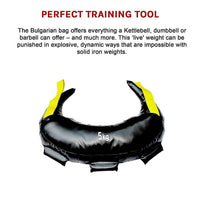 5kg Bulgarian Workout Power Bag Sports & Fitness Kings Warehouse 