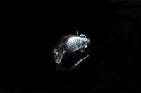 5x 3cm Popper Crank Bait Fishing Lure Lures Surface Tackle Saltwater Kings Warehouse 