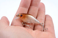 5x 4.3cm Popper Crank Bait Fishing Lure Lures Surface Tackle Saltwater Kings Warehouse 