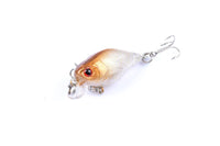 5x 4.3cm Popper Crank Bait Fishing Lure Lures Surface Tackle Saltwater Kings Warehouse 