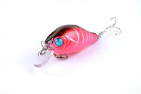 5x 5.5cm Popper Crank Bait Fishing Lure Lures Surface Tackle Saltwater Kings Warehouse 