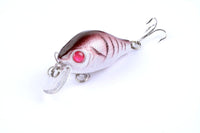 5x 5.5cm Popper Crank Bait Fishing Lure Lures Surface Tackle Saltwater Kings Warehouse 