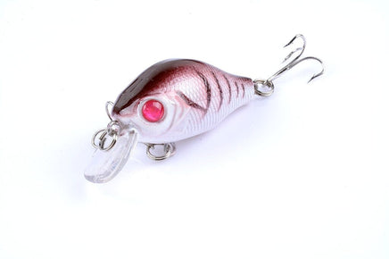 5x 5.5cm Popper Crank Bait Fishing Lure Lures Surface Tackle Saltwater Kings Warehouse 