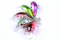 5x 5.5cm Popper Crank Bait Fishing Lure Lures Surface Tackle Saltwater Kings Warehouse 