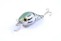 5x 5.5cm Popper Crank Bait Fishing Lure Lures Surface Tackle Saltwater Kings Warehouse 