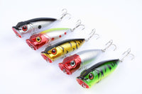 5X 6.5cm Popper Poppers Fishing Lure Lures Surface Tackle Fresh Saltwater Kings Warehouse 