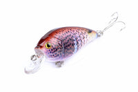 5x 7cm Popper Crank Bait Fishing Lure Lures Surface Tackle Saltwater Kings Warehouse 
