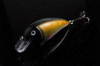 5x 8.5cm Popper Crank Bait Fishing Lure Lures Surface Tackle Saltwater Kings Warehouse 