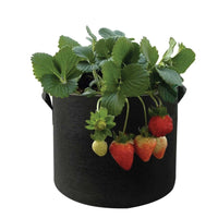 6 Pck 10 Gallon Fabric Flower Pots 38L Garden Planter Bags Black Felt Root Pouch Home & Garden Kings Warehouse 