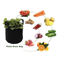6 Pck 10 Gallon Fabric Flower Pots 38L Garden Planter Bags Black Felt Root Pouch Home & Garden Kings Warehouse 