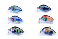 6x 3cm Popper Crank Bait Fishing Lure Lures Surface Tackle Saltwater Kings Warehouse 