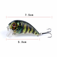 6x Popper Poppers 5cm Fishing Lure Lures Surface Tackle Fresh Saltwater Kings Warehouse 