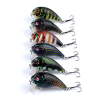 6x Popper Poppers 5cm Fishing Lure Lures Surface Tackle Fresh Saltwater Kings Warehouse 