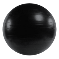 75cm Static Strength Exercise Stability Ball with Pump Kings Warehouse 