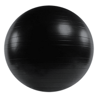75cm Static Strength Exercise Stability Ball with Pump Sports & Fitness Kings Warehouse 