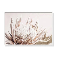 80cmx120cm Pure Protea II White Frame Canvas Wall Art Kings Warehouse 