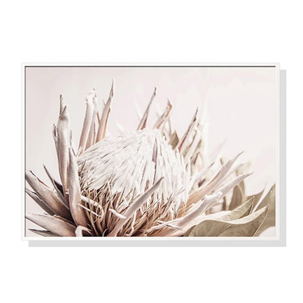 80cmx120cm Pure Protea II White Frame Canvas Wall Art Kings Warehouse 