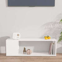 TV Cabinet White 100x24x32 cm Engineered Wood