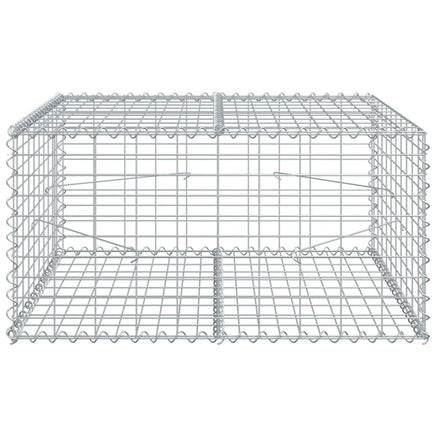 Gabion Basket with Cover 100x100x50 cm Galvanised Iron