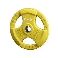 Weight Plates Standard 20kg Dumbbell Barbell Plate Weight Lifting Home Gym Yellow