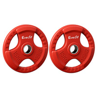 Weight Plates Standard 15kgx2 Dumbbell Barbell Plate Weight Lifting Home Gym Red