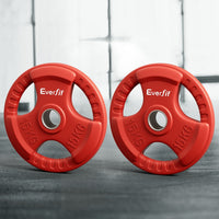 Weight Plates Standard 15kgx2 Dumbbell Barbell Plate Weight Lifting Home Gym Red