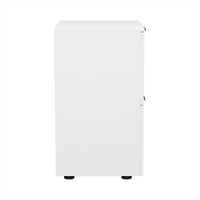 Filing Cabinet Files Storage Office Shelves File Organiser White 2 Drawer