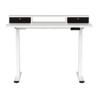 Electric Standing Desk Dual Motor Office Table With Shelf Drawer120CM