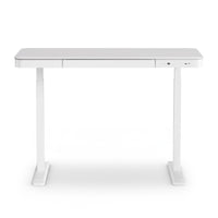 Artiss Standing Desk Motorised Electric Desks Drawer 120CM White