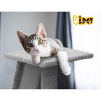 Cat Tree 82cm Scratching Post Tower Scratcher Condo Trees Climb House