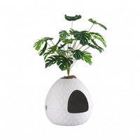 i.Pet Cat Litter Box Hidden Litter Tray Enclosure Planter Furniture House White