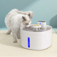 Pet Water Fountain Feeder Dispenser Filter Dog Cat Drinking Automatic 2.6L