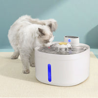Pet Water Fountain Dispenser Filter Dog Cat Drinking Automatic Electric 2.6L