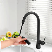 Cefito Kitchen Mixer Tap Pull Out Round 2 Mode Sink Basin Faucet Swivel WELS Black