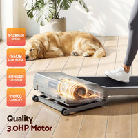 Everfit 3 in 1 Walking Pad Treadmill 20% Auto Incline Under Desk Treadmills for Home Gym With 40cm Wide Belt Sliver