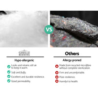 Giselle Bedding Bamboo Charcoal Filling Pillowtop Topper 1000GSM 5cm Thick Pillowtop Pad for Back Pain Relief Washable with 45cm Deep Pocket Double