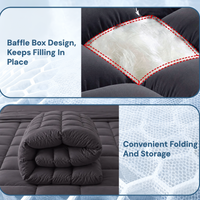Giselle Bedding Bamboo Charcoal Filling Pillowtop Topper 1000GSM 5cm Thick Pillowtop Pad for Back Pain Relief Washable with 45cm Deep Pocket King